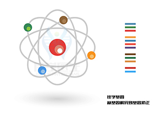 <b>【佳學(xué)基因檢測(cè)</b>